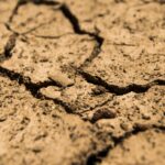 Aufgeplatzter Boden - Dürre